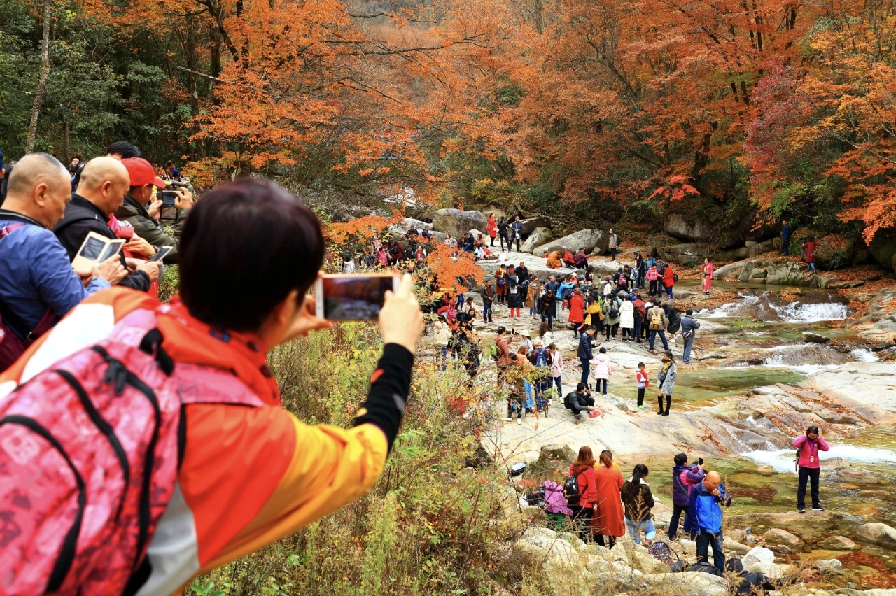Walking the Red Carpet of Nature: The Guangwu Mountain Autumn Festival in Sichuan