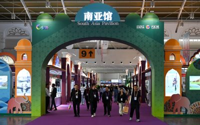 Record-high International Participation: A Look at the Transformations of the China-South Asia Expo over 10 Editions
