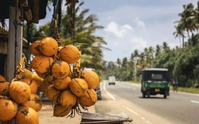 This Sri Lankan Entrepreneur Is Bringing a Remarkable Beverage to the China–South Asia Expo