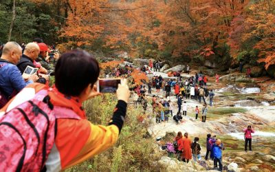 Walking the Red Carpet of Nature: The Guangwu Mountain Autumn Festival in Sichuan