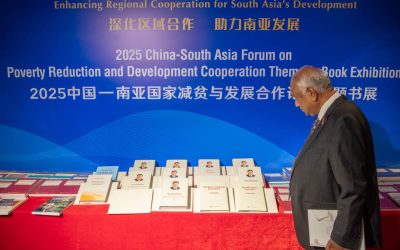 Poverty Reduction and Developmental Synergies