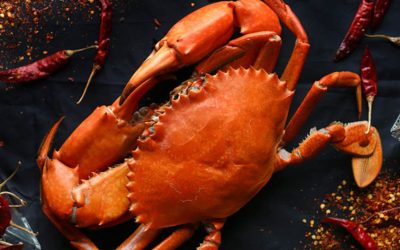 From Sri Lankan crabs to China’s vast market: Trade minister sees new opportunities through Hong Kong